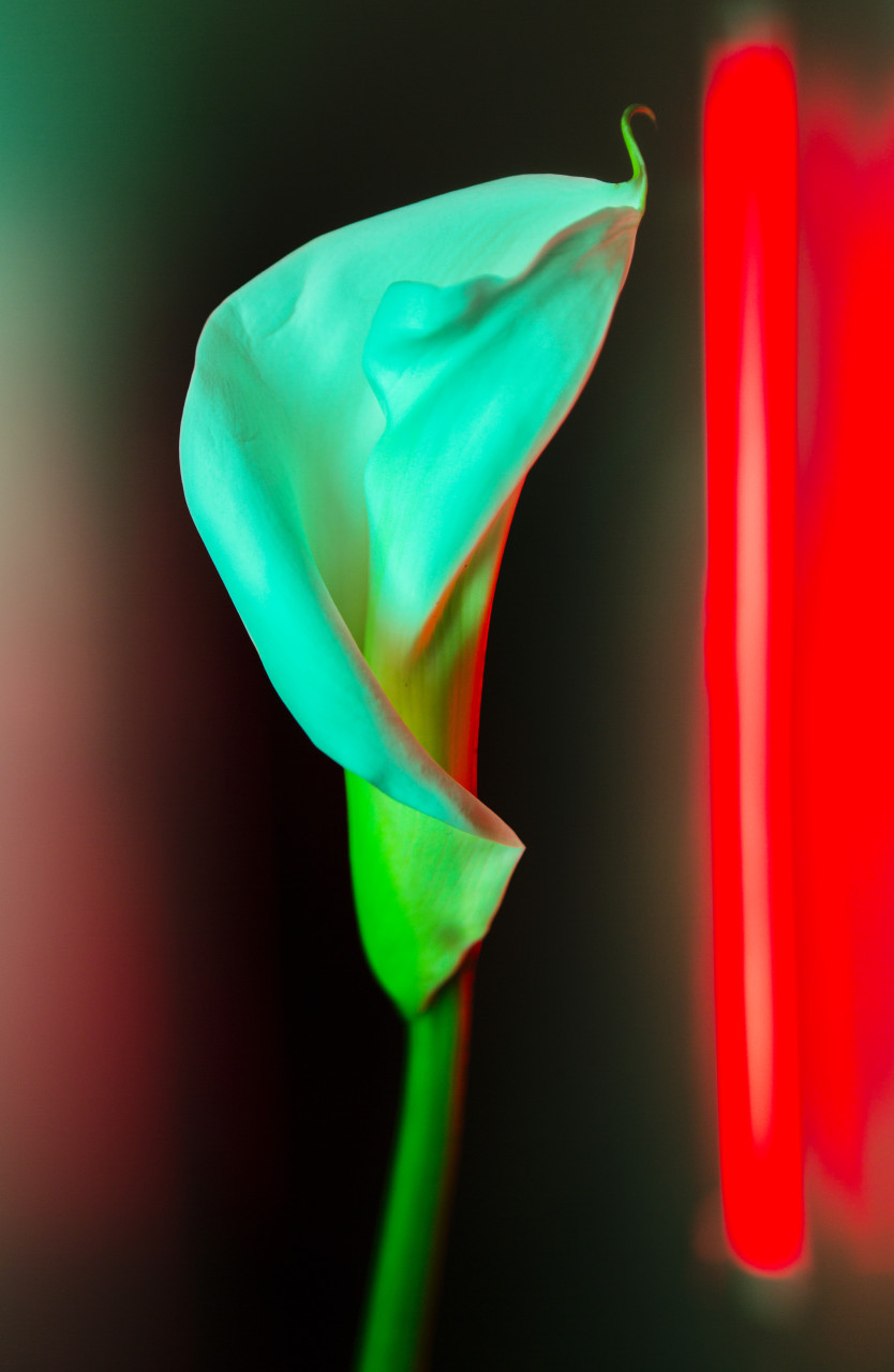 Shapes By Night